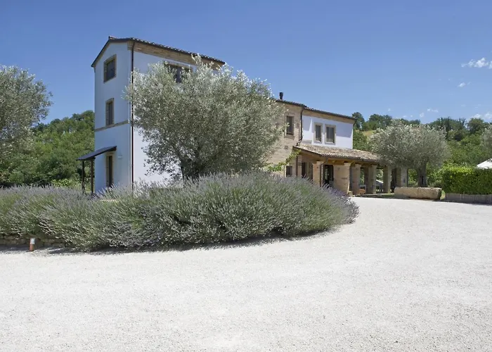 Lantställe Coroncina *